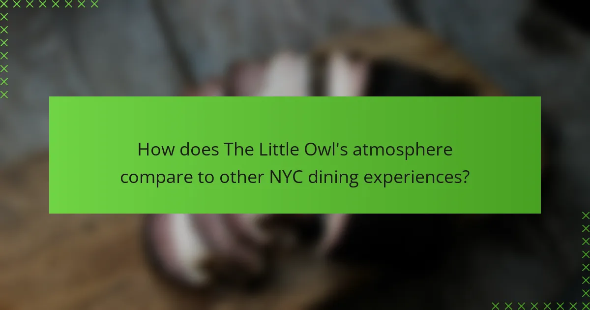 How does The Little Owl's atmosphere compare to other NYC dining experiences?