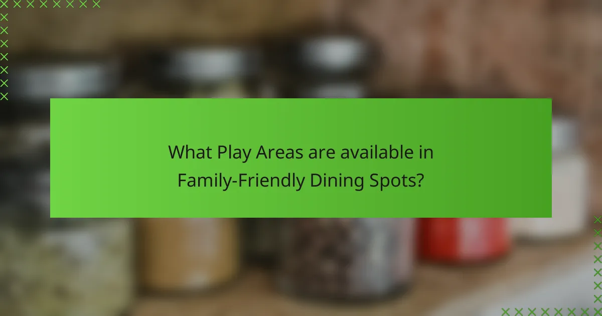 What Play Areas are available in Family-Friendly Dining Spots?